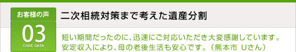 相続手続きの事例03　二次相続対策まで考えた遺産分割